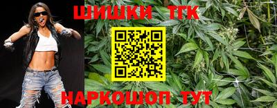 apvp Кунгур