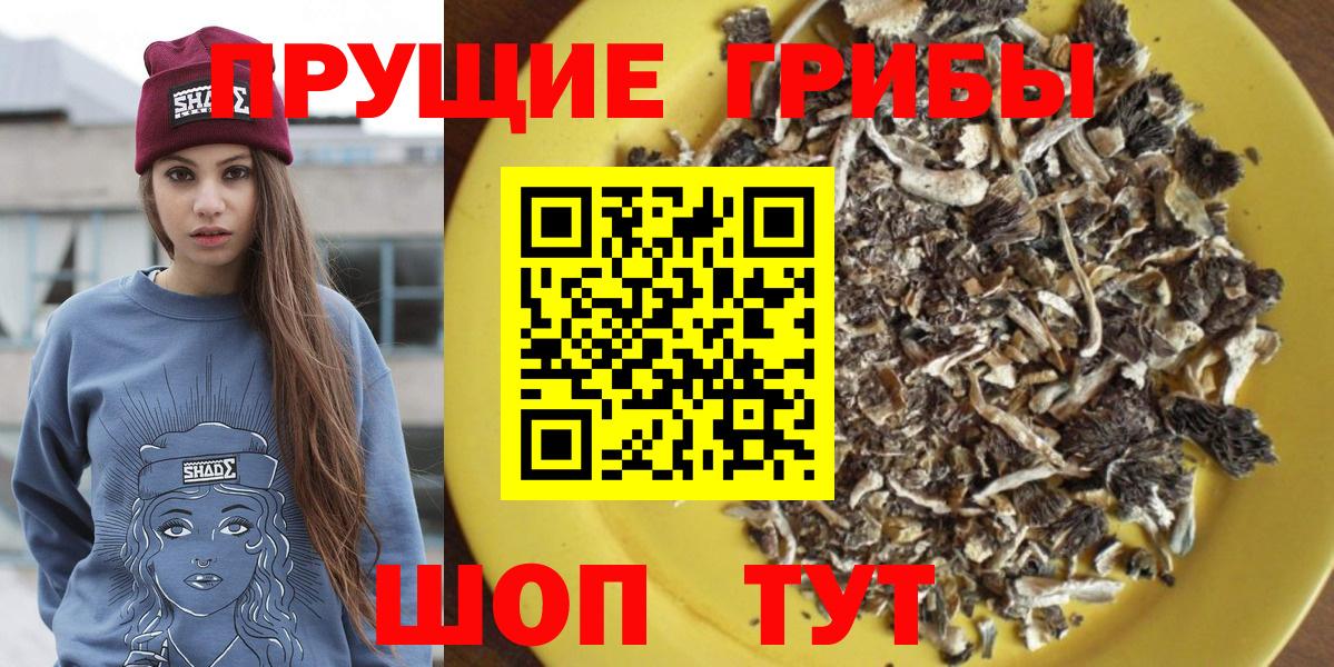 Галлюциногенные грибы MAGIC MUSHROOMS Железногорск